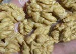 WALNUTS2